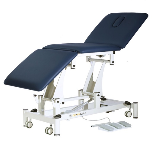 [1310] Pacific Medical Three Section All Electric Treatment Couch